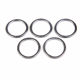 O-Ring (00100019) Case