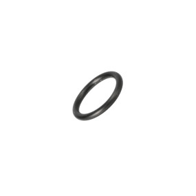 O-Ring (1-31-775-969) Case