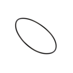 O-Ring (1-31-775-971)  Case