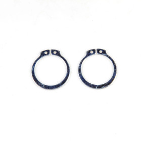 Ring (11067471) Case