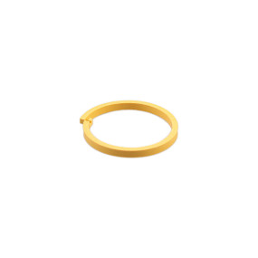 Ring (116797C2) Case