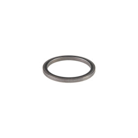 Ring (1289348C1) Case