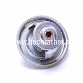 Thermostat (132000060726)  Case