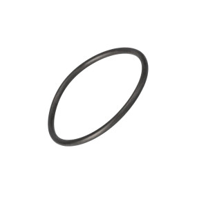 O-Ring (133700730061)  Case