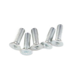 Schraube (14441431) Case