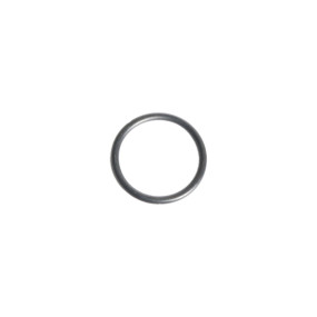 O-Ring (167268) Case