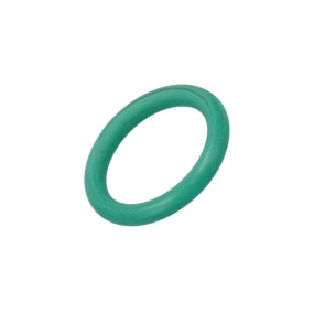 O-Ring (17281681) Case