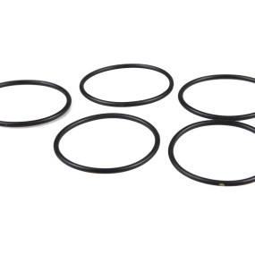 O-Ring (17283680) Case