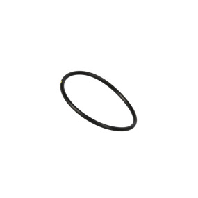 O-Ring (17283880) Case