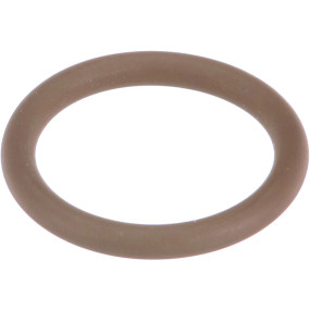 O-Ring (17288581) Case