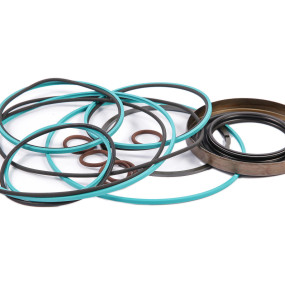 Dichtungssatz (1930955) Case