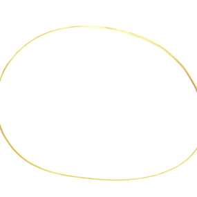 Dichtring (198685A1) Case