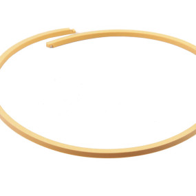 Dichtring (198853A1) Case