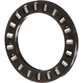 Nadellager (243544A1) Case