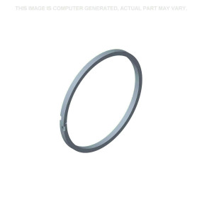 Ring (258546A2) Case