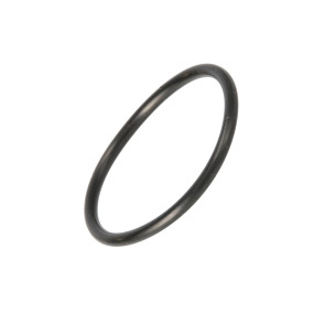 O-Ring (272380) Case