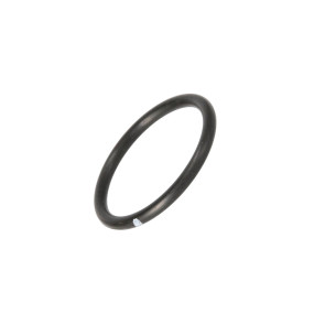 O-Ring (274754) Case