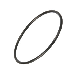 O-Ring (3051786R1) Case