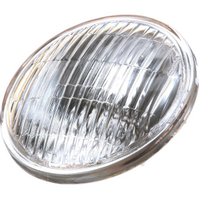 Headlight (3072947R91) Case