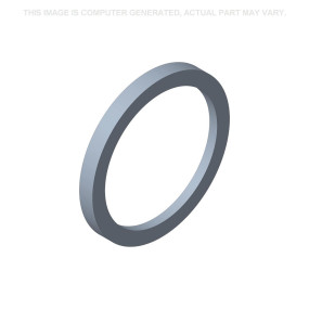 Ring (3076153R1) Case