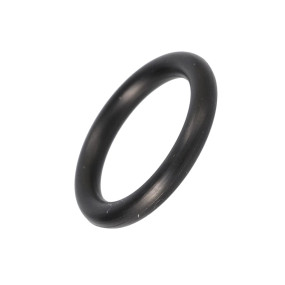 O-Ring (3141238R1)  Case