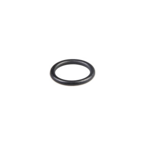 O-Ring (319721A1) Case