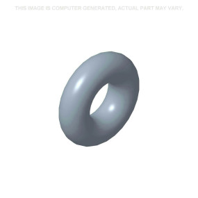 O-Ring (4149216) Case