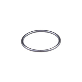 O-Ring (42549209) Case