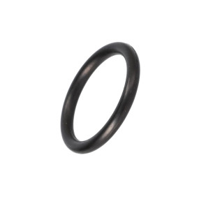 O-Ring (47469813) Case