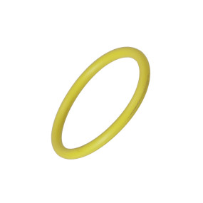 O-Ring (47963885) Case