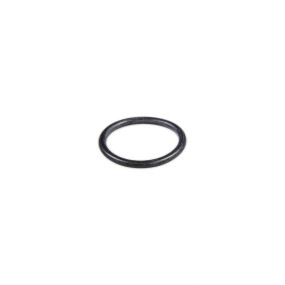 O-Ring (4895082) Case