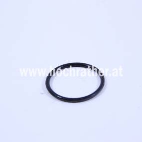 O-Ring (51691115) Case