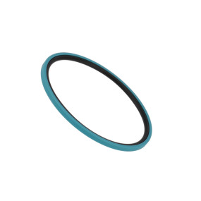 O-Ring (5176620) Case