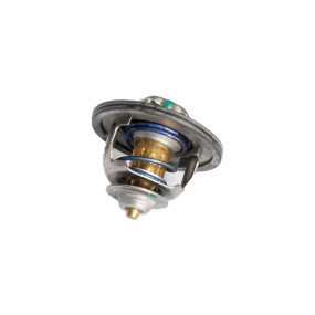 Thermostat (5802388607)  Case