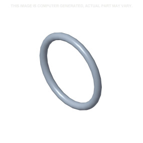 O-Ring (71484894) Case