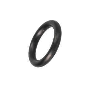 O-Ring (717012R1) Case