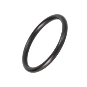 O-Ring (717068R1) Case