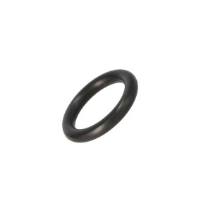 O-Ring (717222R1) Case