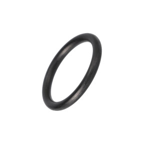 O-Ring (785602R1) Case