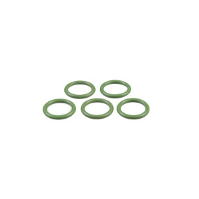 O-Ring (82007848) Case