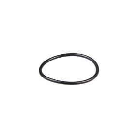 O-Ring (82031041) Case