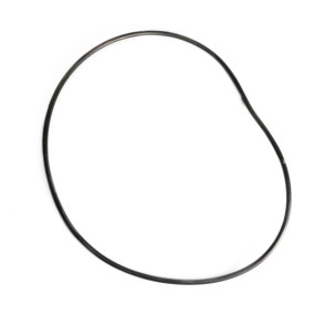 O-Ring (82031045) Case