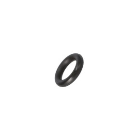 O-Ring (82036309) Case