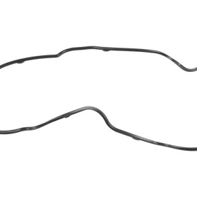 O-Ring (82036390) Case