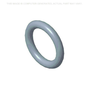 O-Ring (82037703) Case