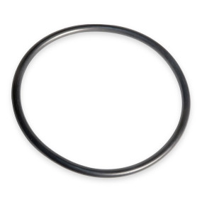 O-Ring (83904858) Case