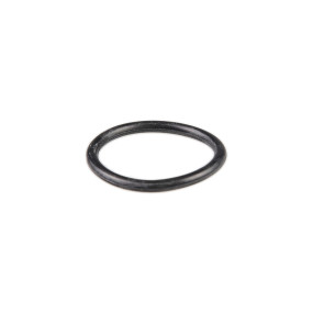 O-Ring (84021955) Case