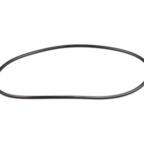 O-Ring (84042797) Case