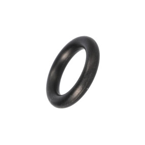 O-Ring (84266149) Case