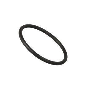 O-Ring (84405752)  Case